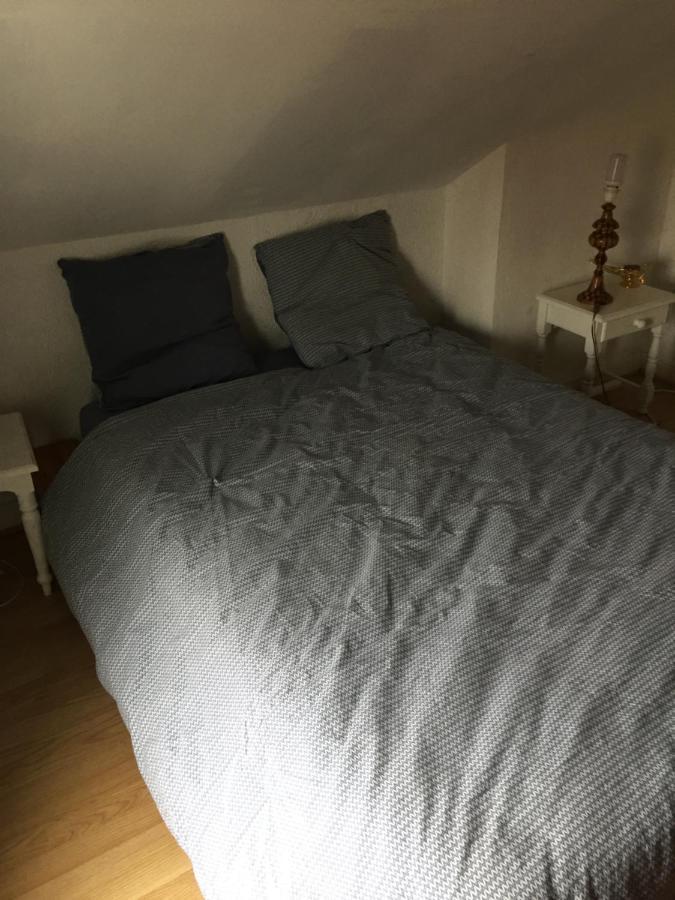 Sous Les Toits Arverne Chamalières Kültér fotó